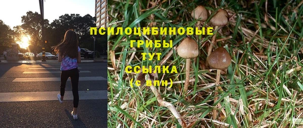 прущая мука Пересвет