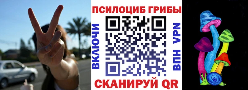 Псилоцибиновые грибы GOLDEN TEACHER  Купить где  Рудня 